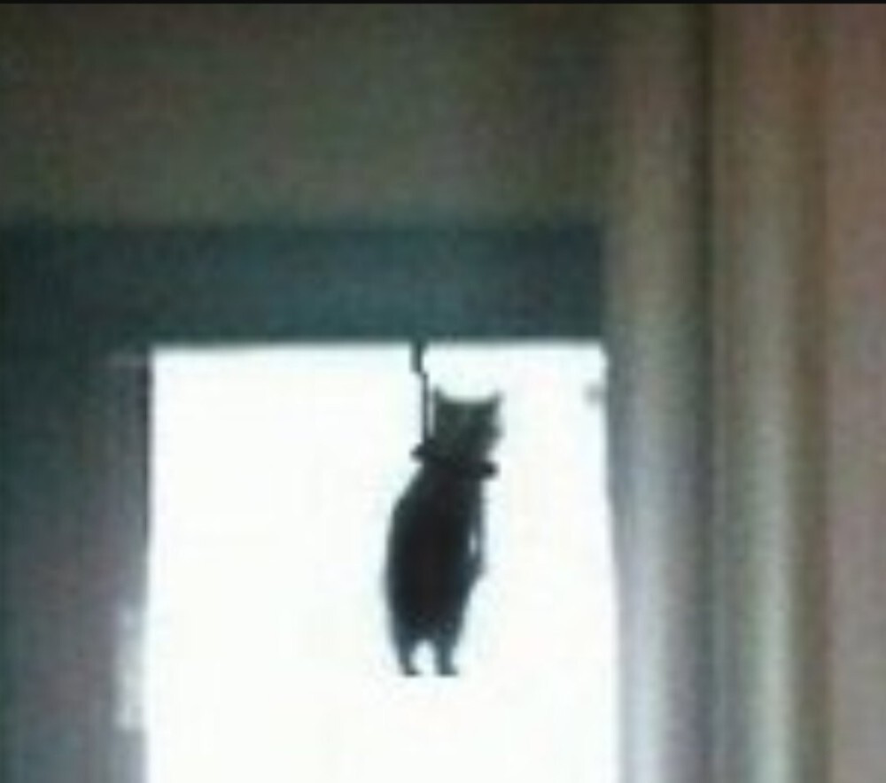 Настройка Fastlane в React Native приложениях